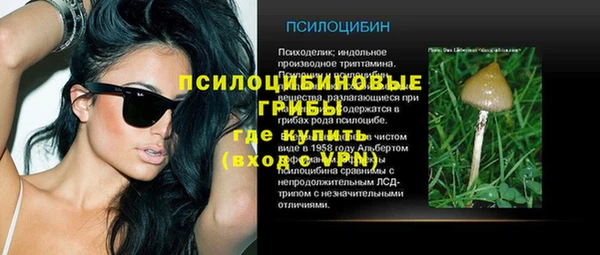MESCALINE Елабуга