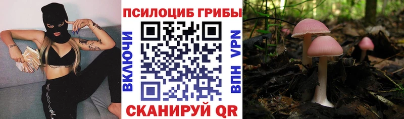 Галлюциногенные грибы Cubensis  Купить закладки  Куса 